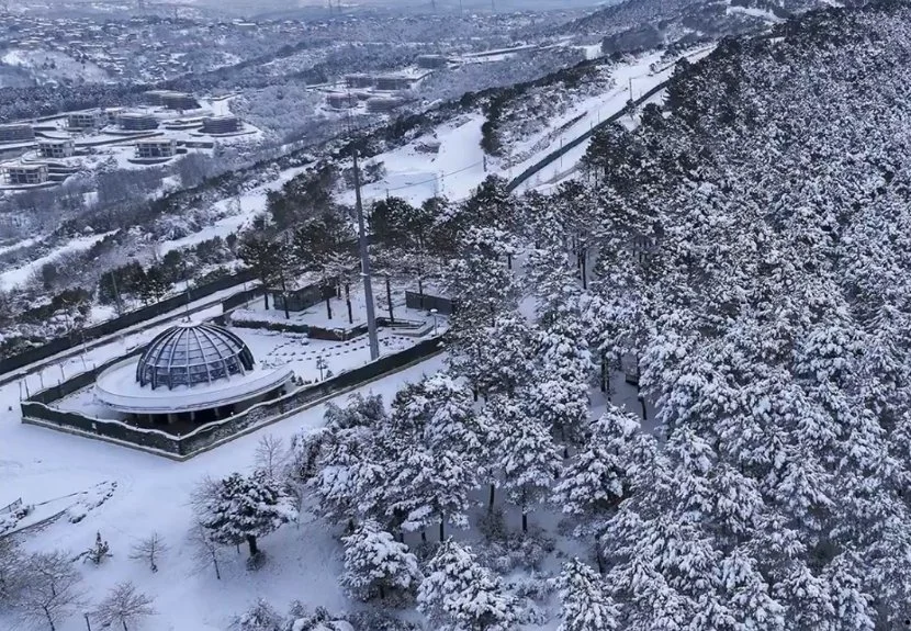 kartatili2 twJHu8VsFv