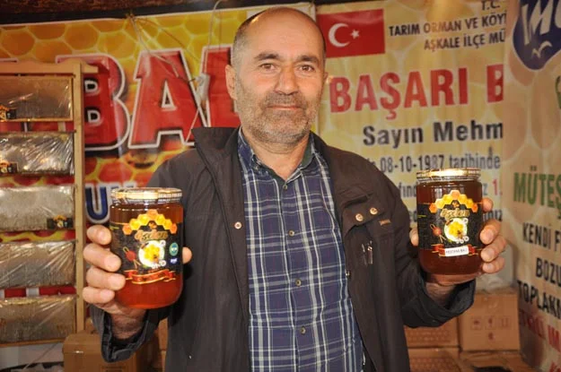 kavacik yoresel sec 23 HqOf aYdyB