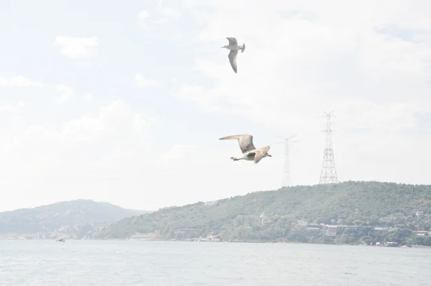 Beykoz'un en çok turist alan mahallelerinin başında gelen Anadolu Kavağı,