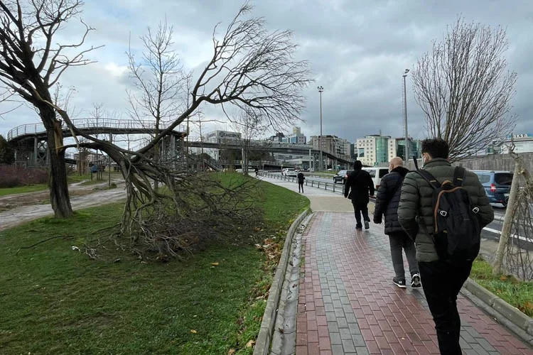 kavkavdb2 cXNZCC Ap8