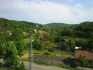 Beykoz Kaynarca Mahallesi'nde, 5393 sayılı Belediye Kanunu'nun 81. maddesi gereği