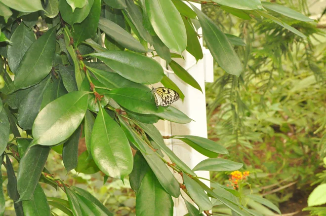 Sahip olduğu doğal güzellikleriyle İstanbul'un en güzel ilçelerinden birisi olan