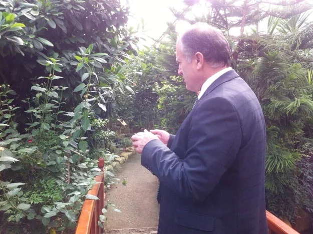 kelebek k k d zcHs 0PKsf