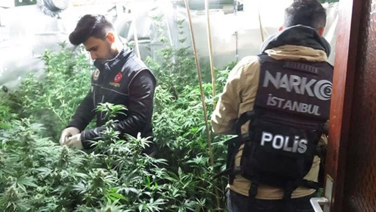 kenevir 2 fwer1Fb uW