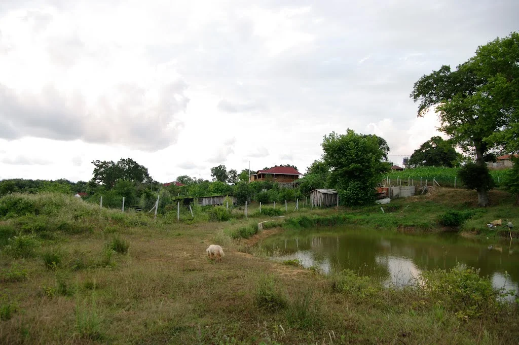 Beykoz Kılıçlı Mahallesi'nde, 5393 sayılı Belediye Kanunu'nun 81. maddesi gereği