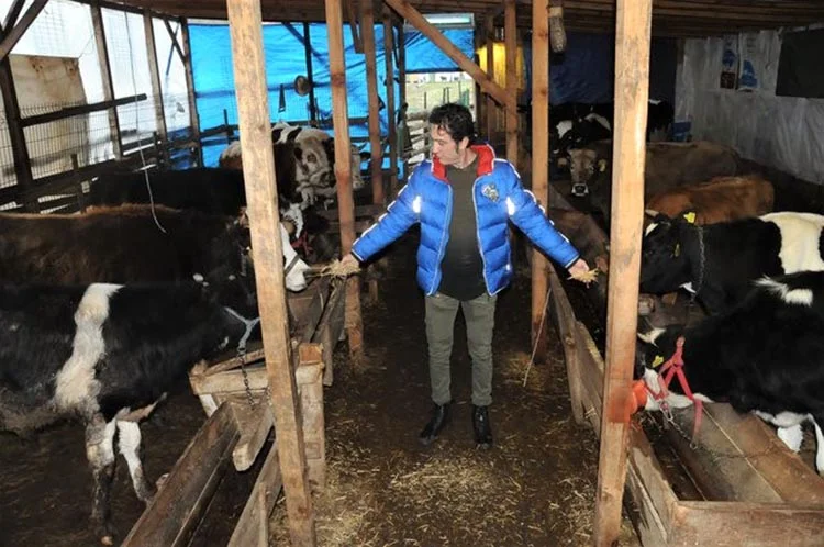 Sanatçı Kıraç Beykoz’da SİT Alanı duvarına çarptı… 2