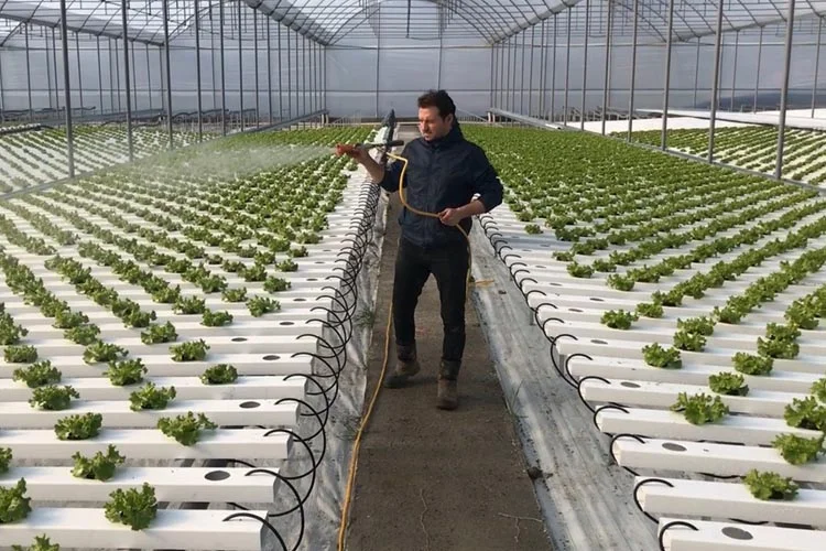 Beykoz Belediyesi'nin Polonezköy'de yapmış olduğu tarım çalıştayı, Beykoz'daki mevcut üretim