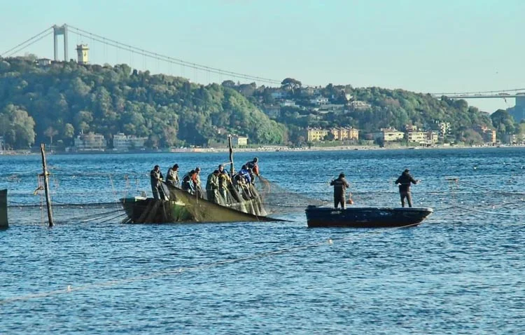 Kocaeli Bağımsız Fotoğrafçılar Topluluğu Beykoz’u seçti 1 kocae trYCNgzP5Q