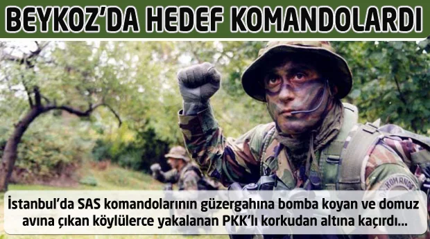 Beykoz'da SAS komandolarının güzergahına bomba koyan ve domuz avına çıkan