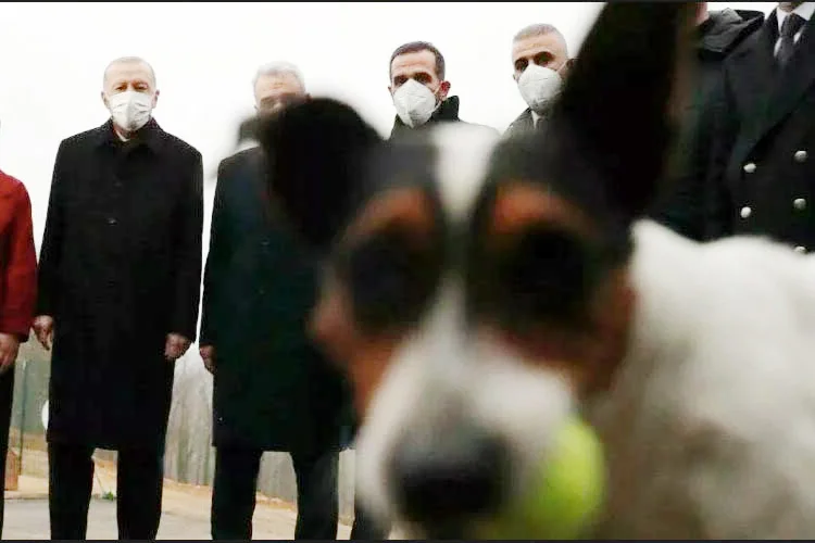 Cumhurbaşkanı Erdoğan’ın ziyareti sırasında yakından ilgilendiği Beykoz Hayvan Barınağı’nın maskotu