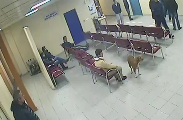 Beykoz Devlet Hastanesi Acil Servisi'ne giren köpeğin güvenlik görevlilerince dışarı