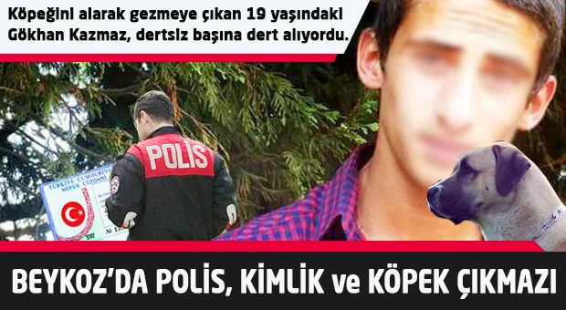 Beykoz’da polis, kimlik ve köpek çıkmazı 1 kopek ma m91Uf0ISDX