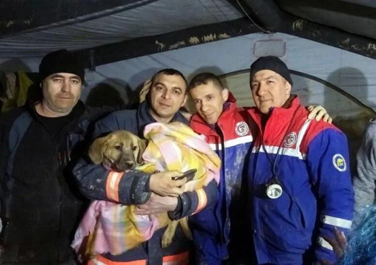 Beykoz Dereseki Mahallesi’nde 61 metrelik kuyuya düşen köpeğin kurtarılması için