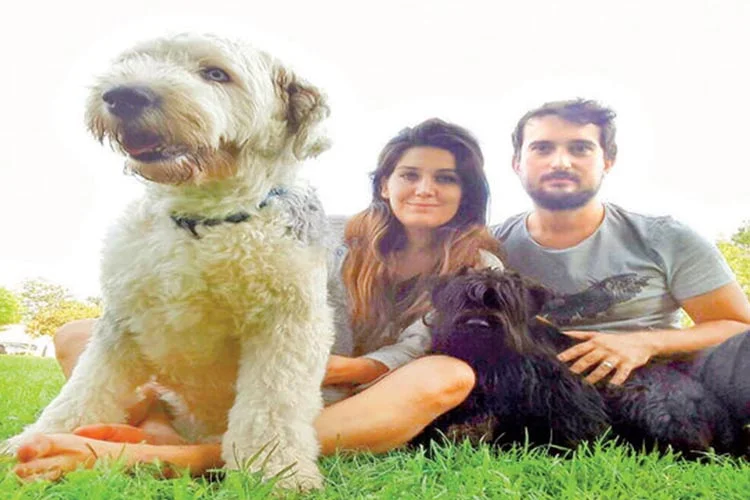 Çok önemli bir işinin var…  Kedinizi ya da köpeğinizi