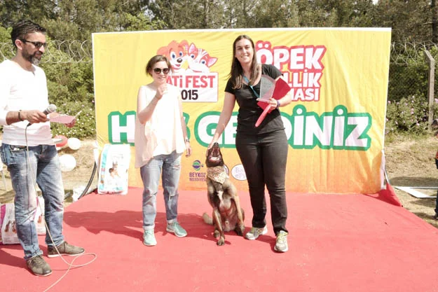 Beykoz'da küçük ve büyük ırk kategorilerinde podyuma çıkan köpekler süslü