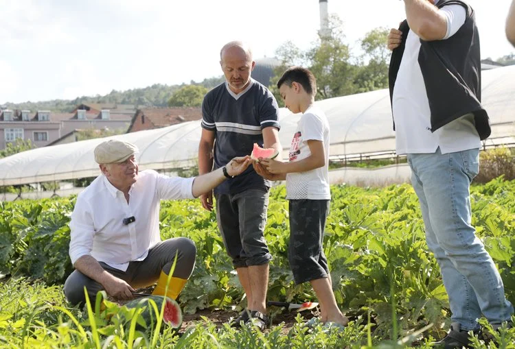 koseler222 CF BZQJK4K