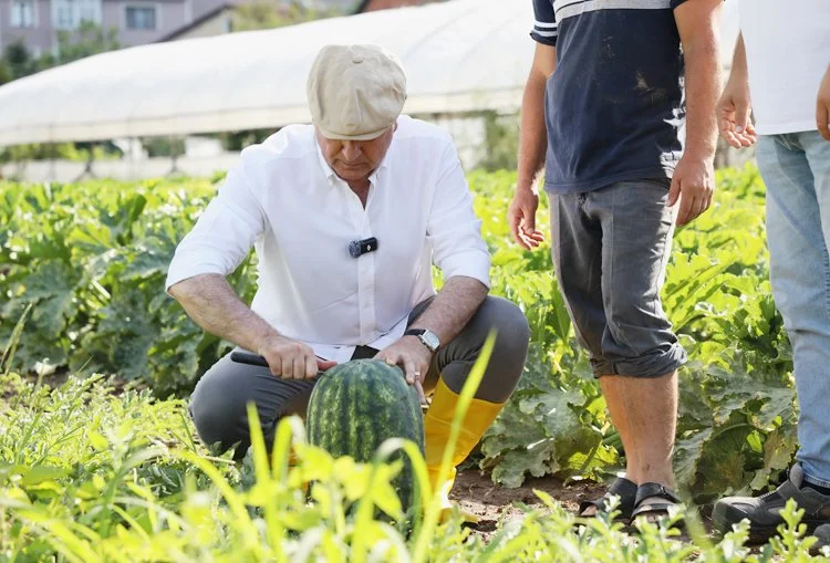 koseler333 QuH7LPDGe7