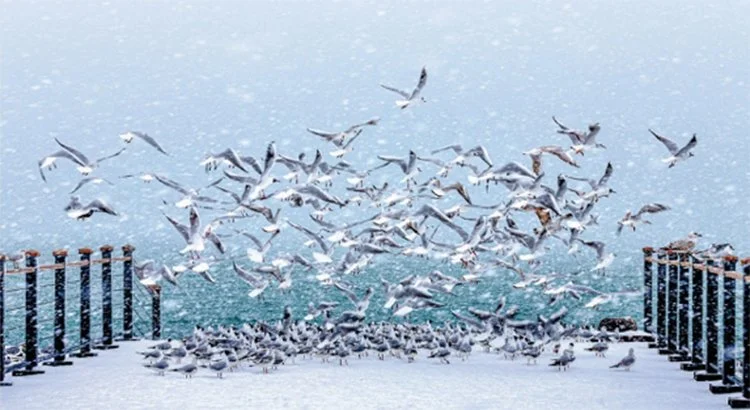 Beykoz’da 7’den 70’e tüm ilçe sakinleri için tiyatro oyunlarından konserlere,