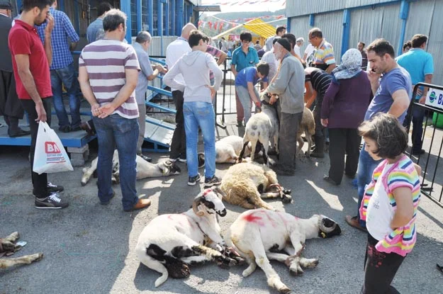 Beykoz’da huzurlu bir Bayram günü yaşandı 4 kurban beyk L8BurOb9nO