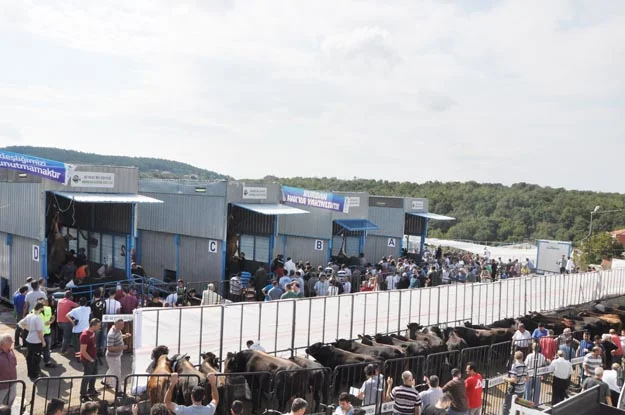 Beykoz’da huzurlu bir Bayram günü yaşandı 2 kurban