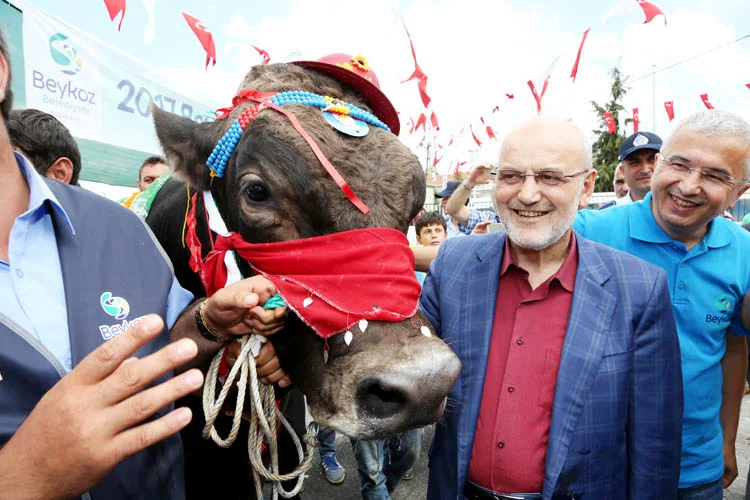 kurban guzellik 31 ECGOc NNBD