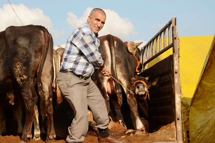 kurban kent 16 16 eR56POC60G