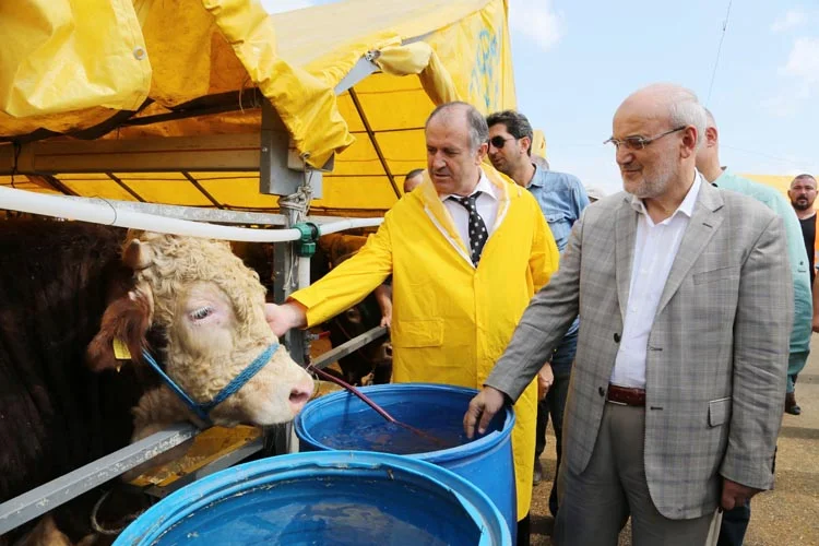 Belediye Başkanı Yücel Çelikbilek, Kaymakam Katırcı ile birlikte Beykoz Çavuşbaşı'ndaki