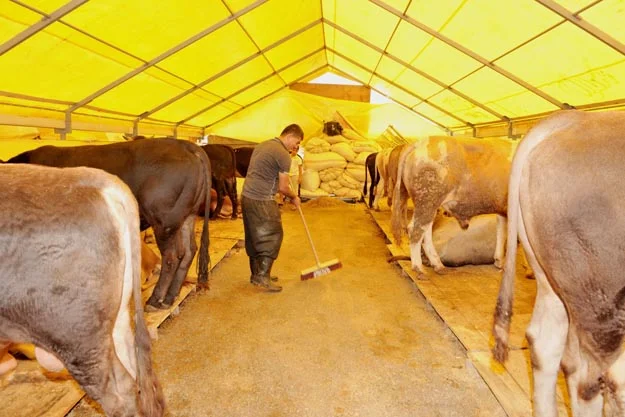 Beykoz Kurbankent Bayram’a Hazır 1