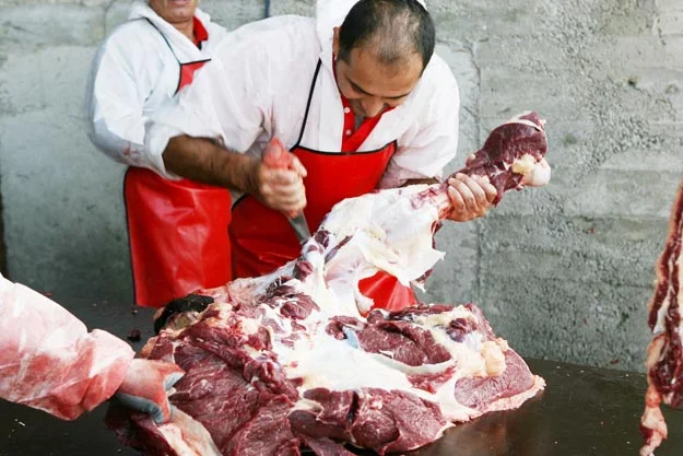 Beykoz Kurbankent Bayram’a Hazır 4 kurbanke r3M 2saVLn