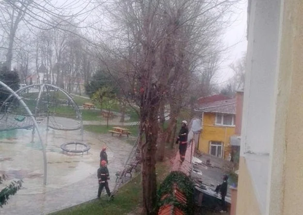 Beykoz’da, itfaiye görevlisi bir kediyi mahsur kaldığı ağaç dalından kurtardı.