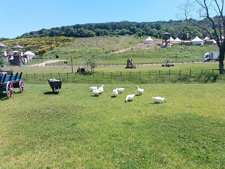 kurulus osman beykoz 3 CqfXtUzDfZ