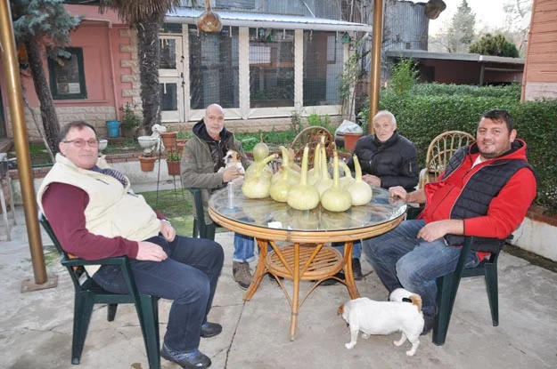 kuscu hakan db 15 nwfqDuyJzh