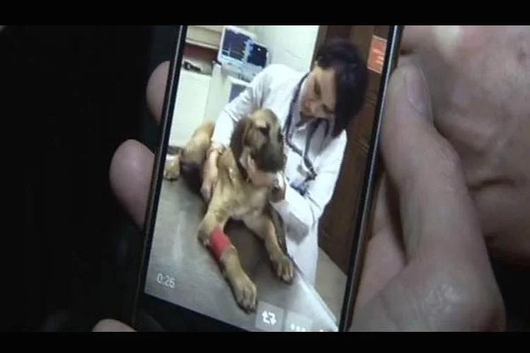 Sondaj kuyusunda 10 gün kaldıktan sonra kurtulan Kuyu'nun sağlık durumu