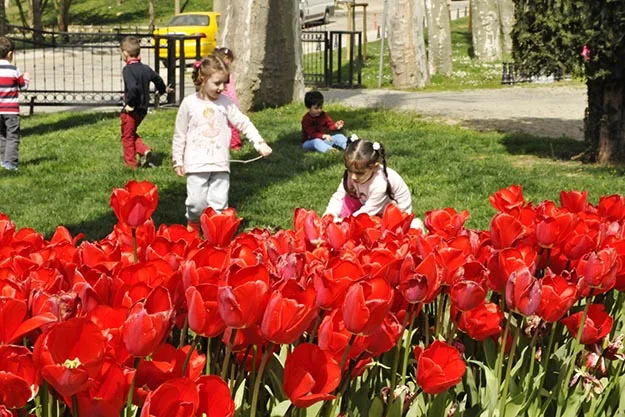 Yaz mevsimin yaklaşmasıyla İstanbul Büyükşehir Belediyesi’nin lale festivalinden Beykoz’da nasibine