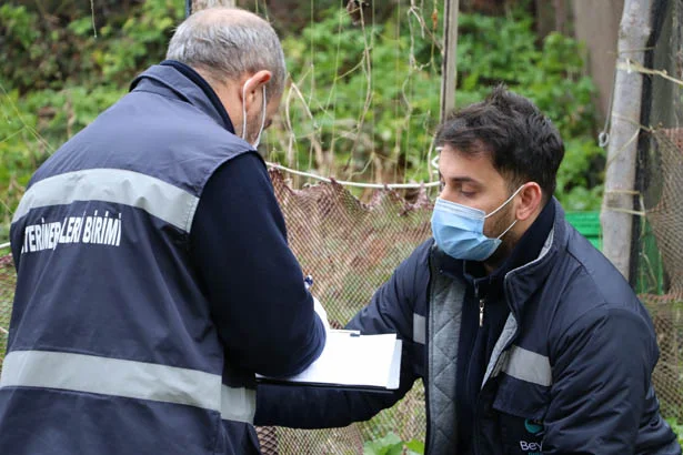 Beykoz Belediyesi ilçe sakinlerinin huzurlu bir yaz ayı geçirmesi için