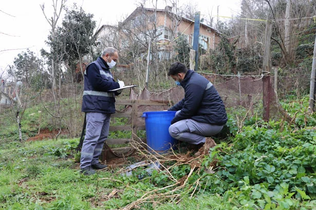 larvamucdb3 R71Su4oh3j