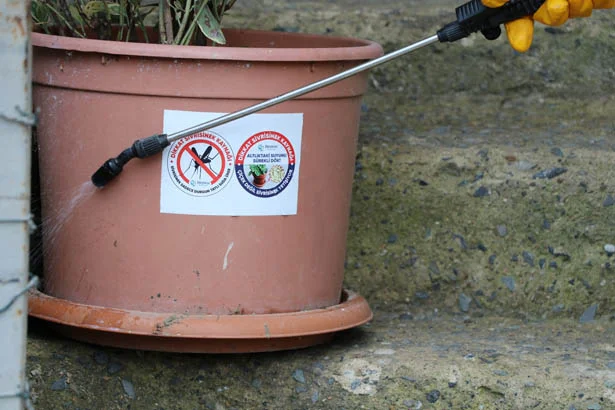 larvamucdb4 OQl5O2m Pv