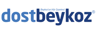 Dost Beykoz 2002 yılında yayın hayatına başlamış ve Beykoz'da kurulan