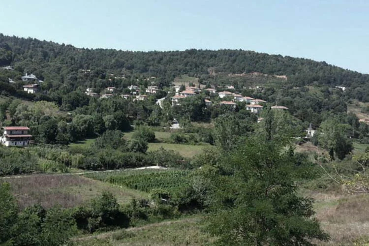 Beykoz Belediyesi Mahmut Şevket Paşa Mahallesi'nde yapılacak olan prestij cadde