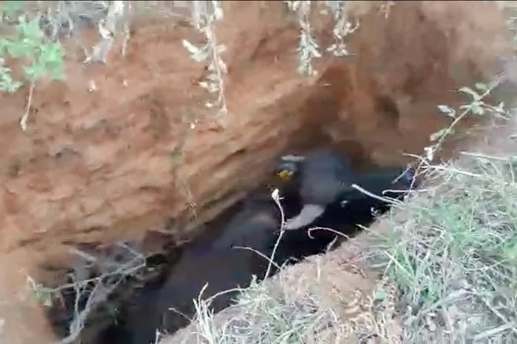 Orman görevlilerinin olası yangınları önlemek amacıyla Beykoz’daki ormanlık alanların girişlerine