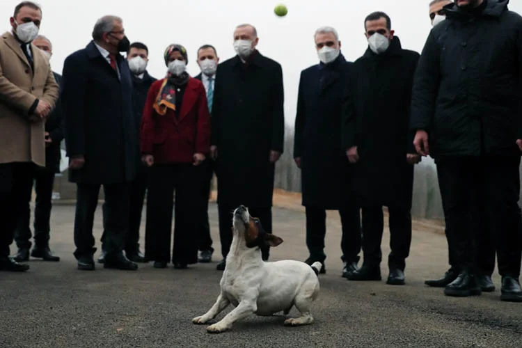 Beykoz Belediye Başkanı Murat Aydın, tartışmalı yorumu nedeniyle Gazeteci Nevşin