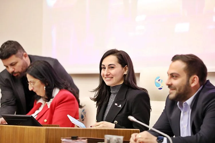 meclis faaliy lk355dm1kv