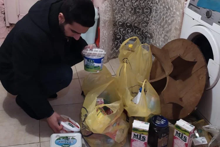 medipol 7 F gjytquir