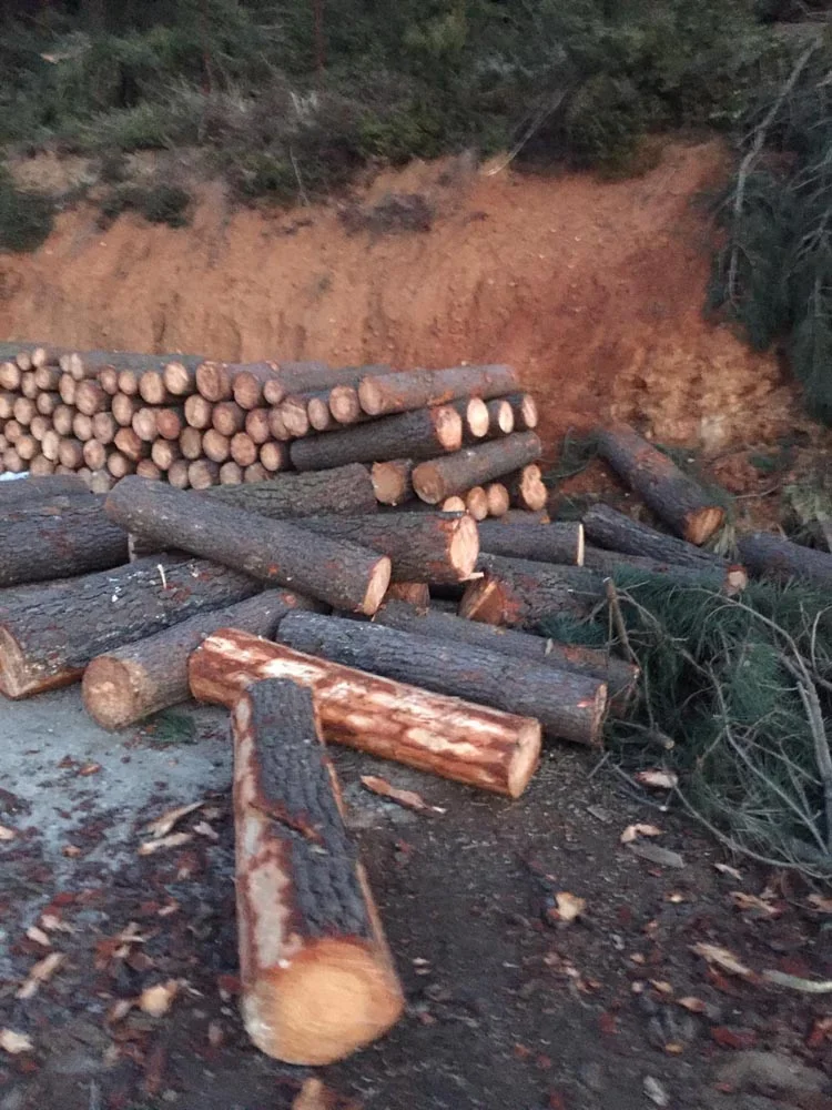 Beykoz Karlıtepe Mesire Alanı'nda ne oluyor? 6 mesi dbzBqK8sO5