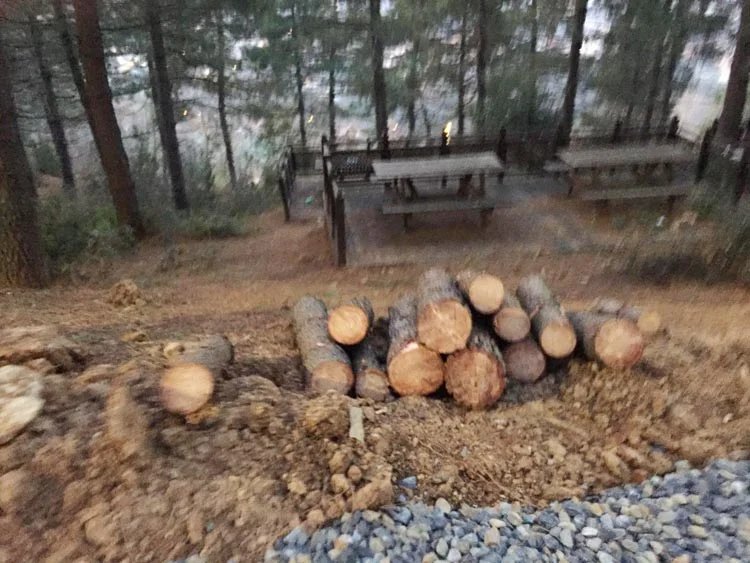 Beykoz Karlıtepe Mesire Alanı'nda ne oluyor? 8 mesir IN XPI5y7g