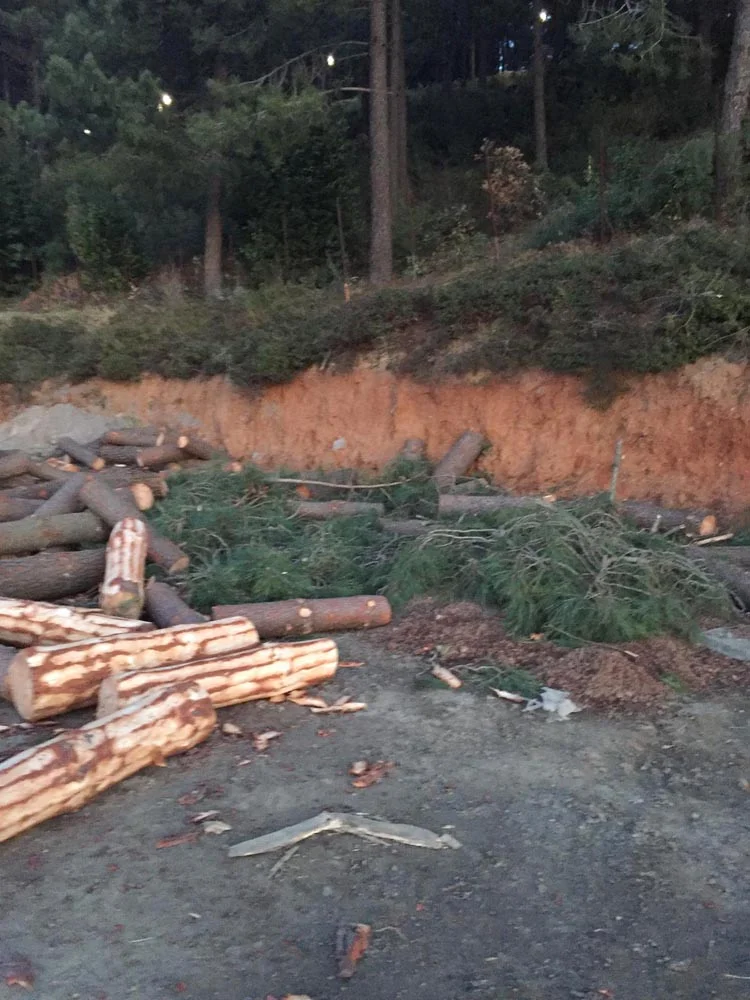 Beykoz Karlıtepe Mesire Alanı'nda ne oluyor? 5 mesire 11 WeU07uYSgb