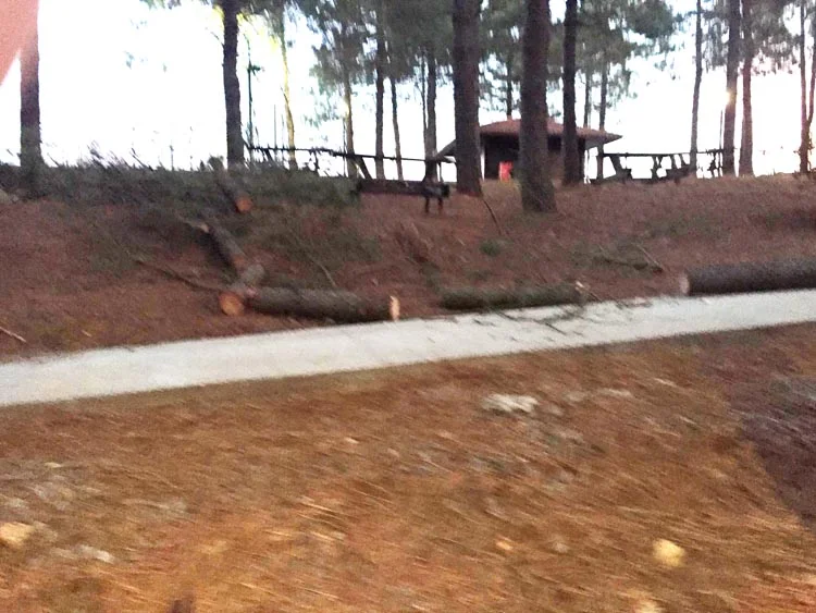 Beykoz Karlıtepe Mesire Alanı'nda ne oluyor? 7 mesire 17 B854 JsfVZ