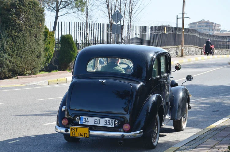 mevlutmercanmorris 20 mHwhXTwgFO