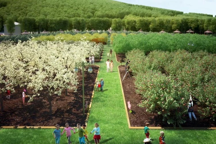 Pazar ve marketlerde el yakan fiyatlara çeşitli kurumlardan çözüm önerileri