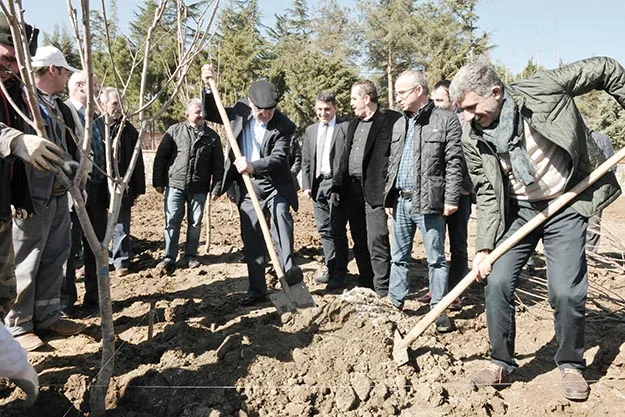 meyve bahce beykoz 22 1FilLCN6Rs